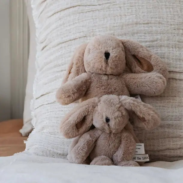 Little Dog - Hugh Rabbit