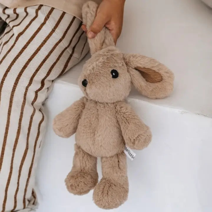 Little Dog - Hugh Rabbit