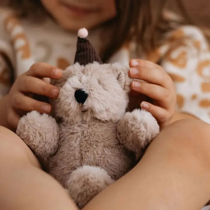 Little Dog Wilma Bear