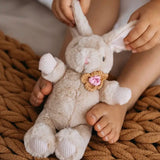 Little Dog - Winne Rabbit